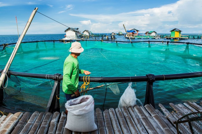 Asia drives global aquatic production to record high, powered by aquaculture expansion